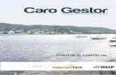Portfolio Caro Gestor 2011-2012