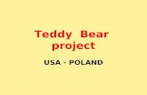 Teddy bear project