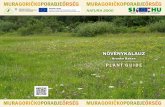 Növénykalauz / Plant Guide, Branko Bakan