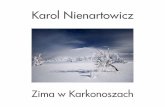 Karol Nienartowicz - Zima w Karkonoszach