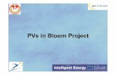 Pvs in Bloom Training session material POLAND 3