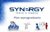 Plan wynagradzania Synergy World Wide