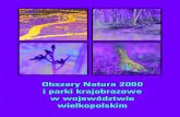 Obszary Natura 2000 i parki krajobrazowe w województwie wielkopolskim