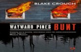Blake Crouch, "Wayward Pines. Bunt"