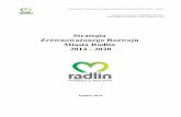 Strategia Zrównoważonego Rozwoju Miasta Radlin 2014 - 2020