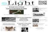 eLight 09/2014 (6)