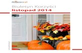 Biuletyn Korzyści Domowy.pl - listopad 2014