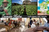 Kuba - dalekie podróże (All Inclusive Magazine)