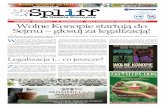 # 33 Gazeta Konopna Spliff