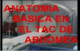 Tac Anatomia Abdomen