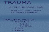 2. Trauma Mata - Dr. Christina Indrajati
