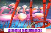 Las Medias de Flamenco SD y FG (1)