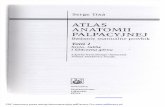 Atlas Anatomii Palpacyjnej Tom 1 - S.tixa