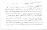 Orff - Carmina Burana Bassoon I