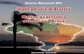 Marcas Da Presença Polonesa No Brasil