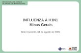 INFLUENZA A H1N1 Minas Gerais Belo Horizonte, 04 de agosto de 2009.