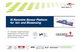 Nanowire Sensor 2010
