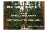 Curso Botanica Sistematica