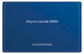 Raport Anual 2008 Ro