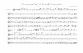 Salve Mundi Domina 1st Violin