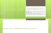 Bab 7 Mikrobiologi