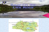 REGION DE LOS RIOS HISTORIA.pptx
