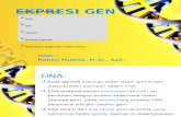 Pert. 10 Ekspresi Gen