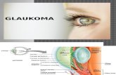glaukoma 4C