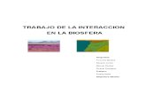 Interaccion de La Biosfera Region Atacama