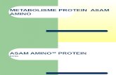 300112 - Protein Struktur Asam Amino