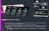 11 Cap 11 Radiobiologia