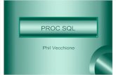 Proc SQL Talk 12