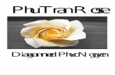 Phu Tran Rose v1