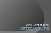 10 - Osteomyelitis_2010 - D3
