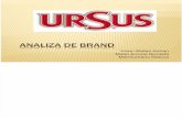 Analiza de Brand Ursus Romania