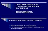Lymphopoietic System-kbk Blok Hematologi