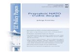 Jadwiga Kiwerska: Przyszłość NATO - trudne decyzje