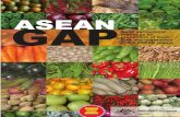 Asean Gap Standard