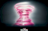 Giro d Italia 2013 Fightbook