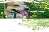 Green Dog HB