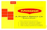 Brand Study : Maggi