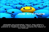 PIO 2 - Job Attitude