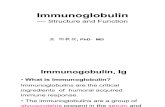 3 Immunoglobulin