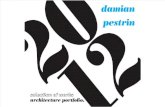 Damian Pestrin's CV/Portfolio Sample