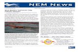 2011_11 NEM Newsletter