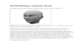 3D Modeling a Human Head