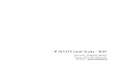IP ROUTE CS - BGP