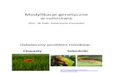 Lisowska Modyfikacje genetyczne w rolnictwie