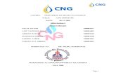 Report on CNG
