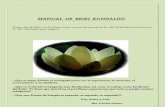 Kundalini Reiki (Spanish)